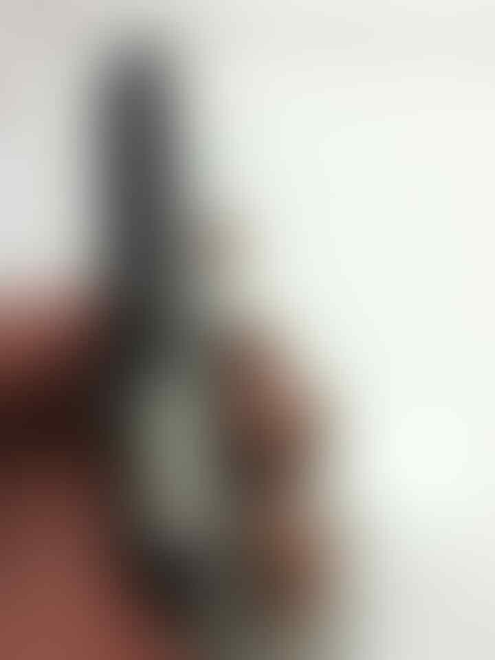 blackberry bolt 9000