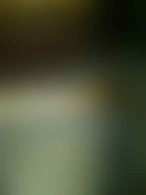 BLACKTHROUT, MOZAMBIK, LOVEBIRD, PLECI, LEDEKAN, DLL...