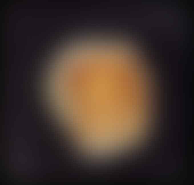 "A Child is Born", Fotografi Transformasi Sperma Hingga ...