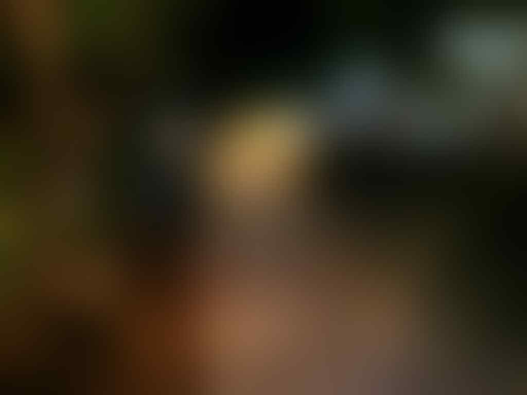 kaskus-image