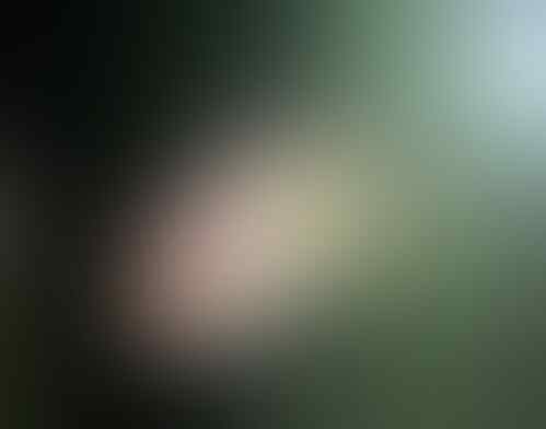 LOUHAN GB murmer