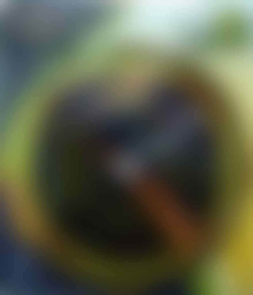 Alat Peraga Edukasi