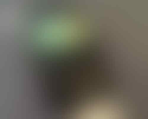 BLACKBERRY NEW (BNIB) GARANSI RESMI 2THN PROMOBILE ( SURABAYA)