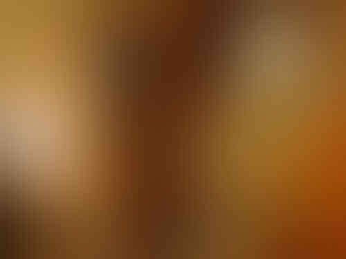 PEJUANG PEREMPUAN PERTAMA DI INDONESIA & DUNIA