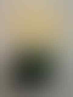 AKSESORIS HANDPHONE (BB, SAMSUNG, NOKIA, DLL) TERMURAH!! KUALITAS TERJAMIN!!!