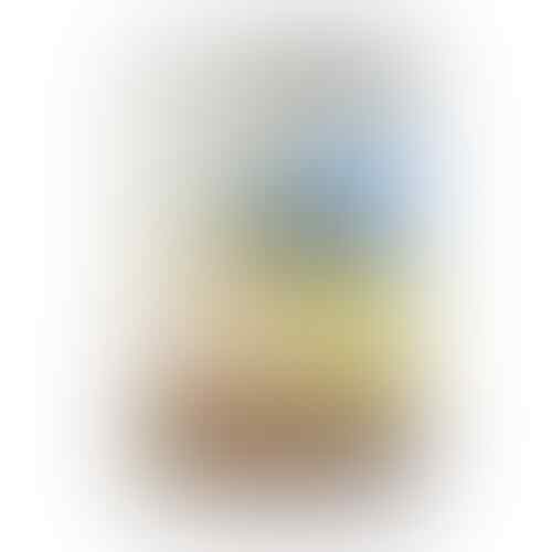SAMSUNG Galaxy S Advance GT-I9070 (mulus garansi panjang) *Galaxy S Galaxy S*