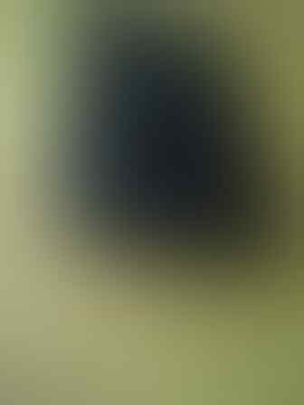 MOTOROLA PHOTON 4G MB855