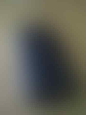 MOTOROLA PHOTON 4G MB855