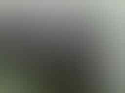 Samsung Galaxy S2 white SEIN