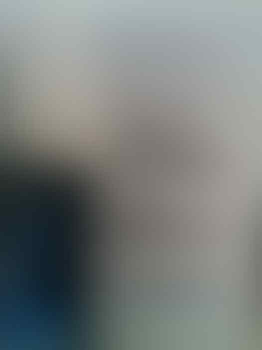 Xperia Mini Pro (Sk17i)
