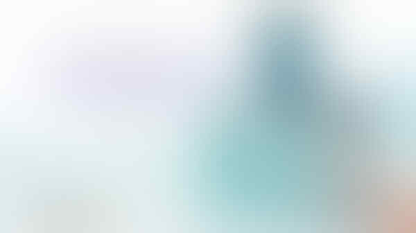 PO HP Jepang NTT Docomo dan Softbank (Not Include Hypersim)