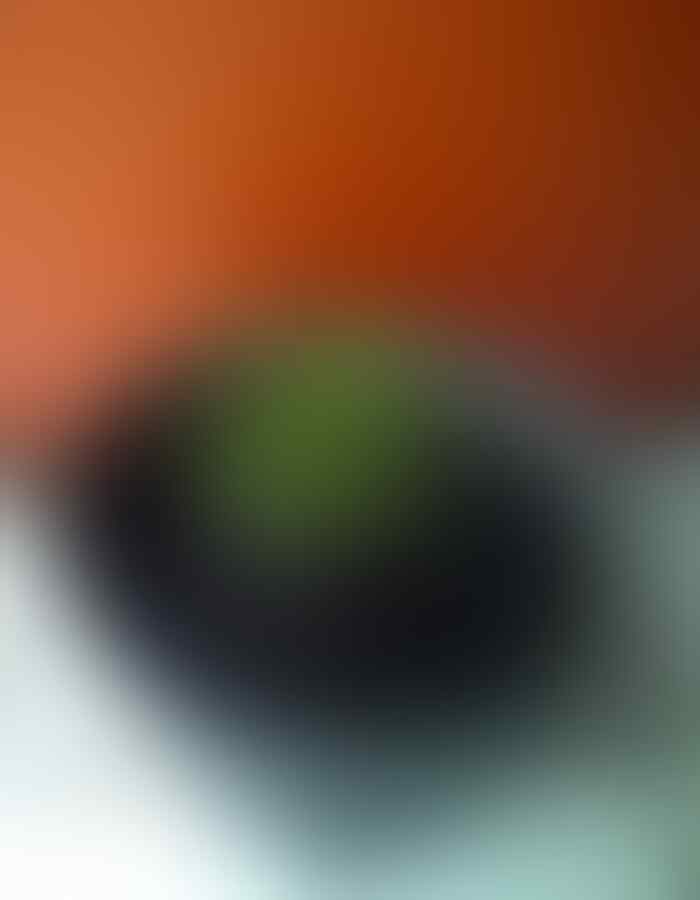 Zodia Si Pengusir Nyamuk