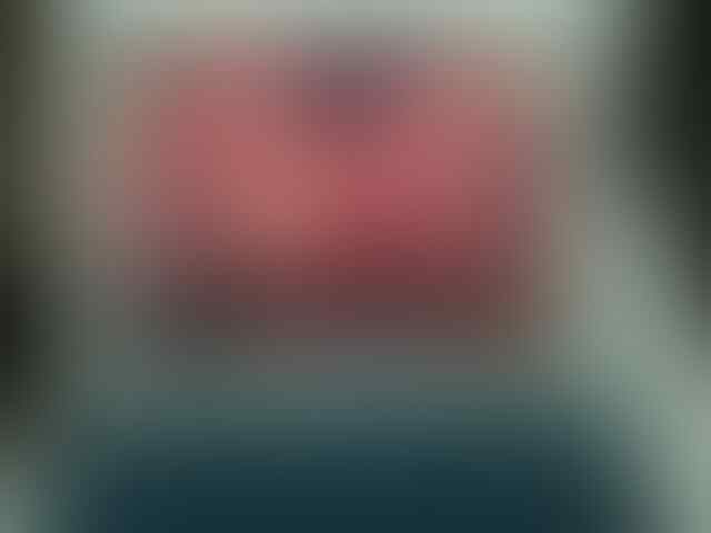 Apple iPad2 Wifi 3G 16GB 2nd 98%