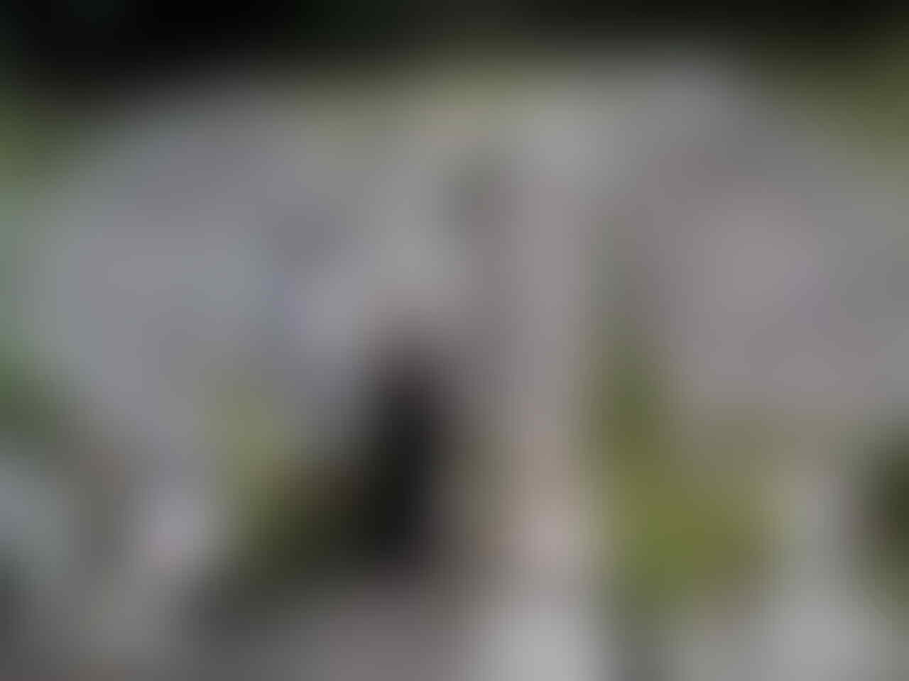 nuansa keindahan alam di bali