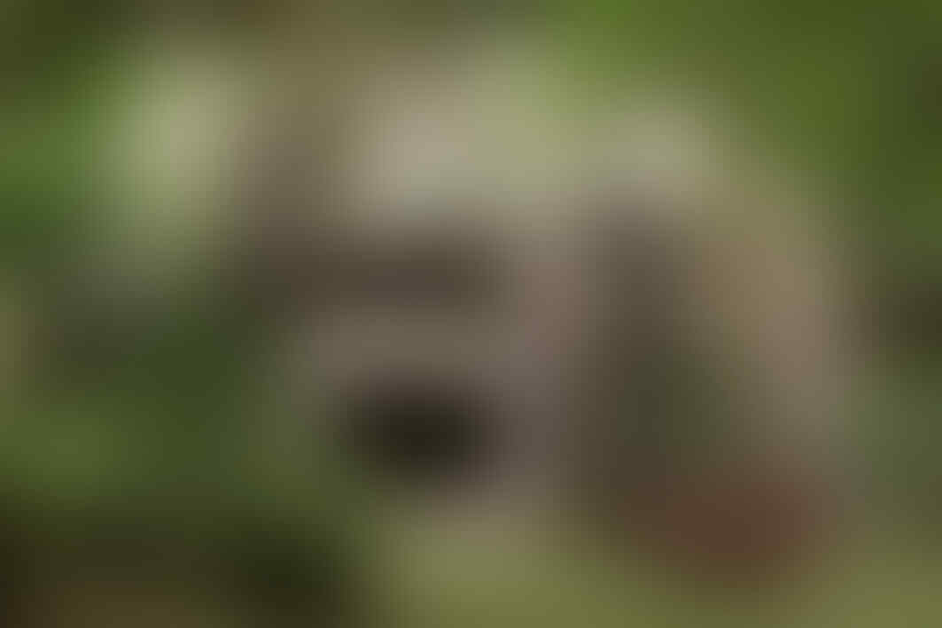 nuansa keindahan alam di bali