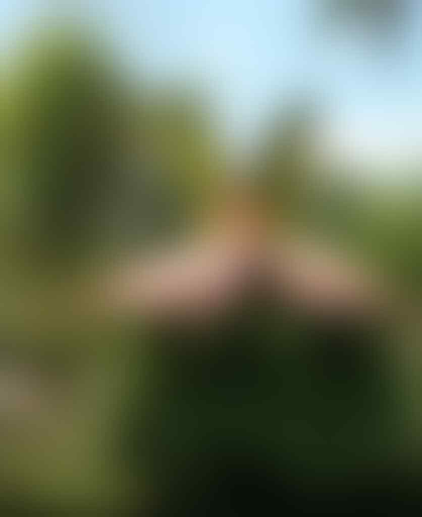 nuansa keindahan alam di bali