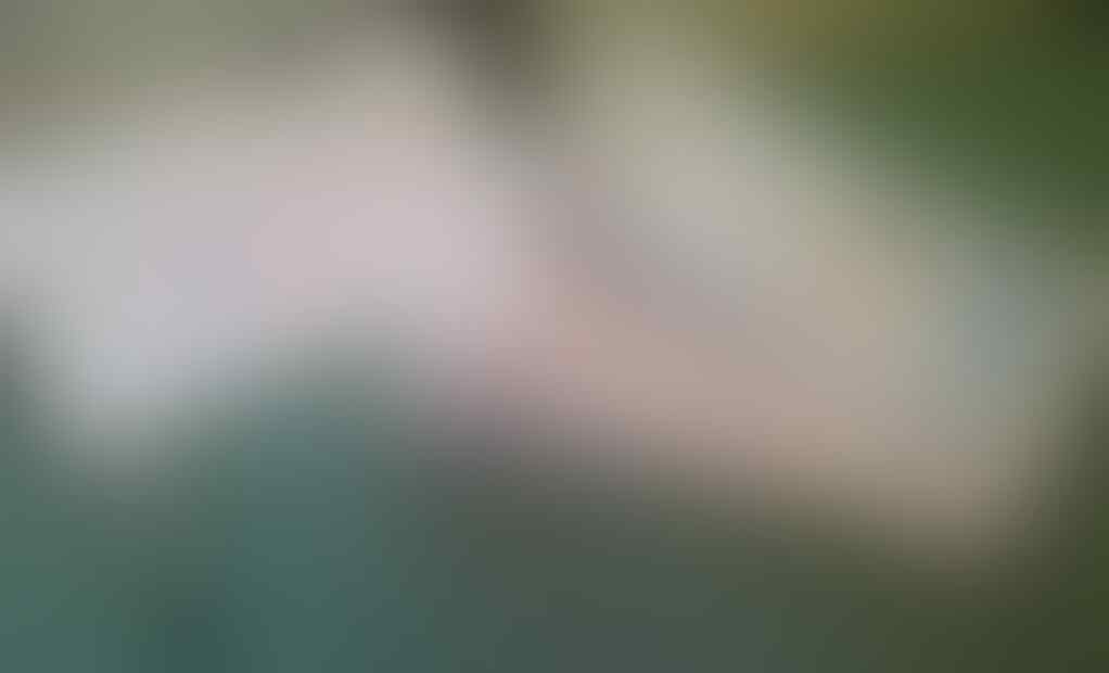 JUAL KACA MATA TERMURAH GUCINI