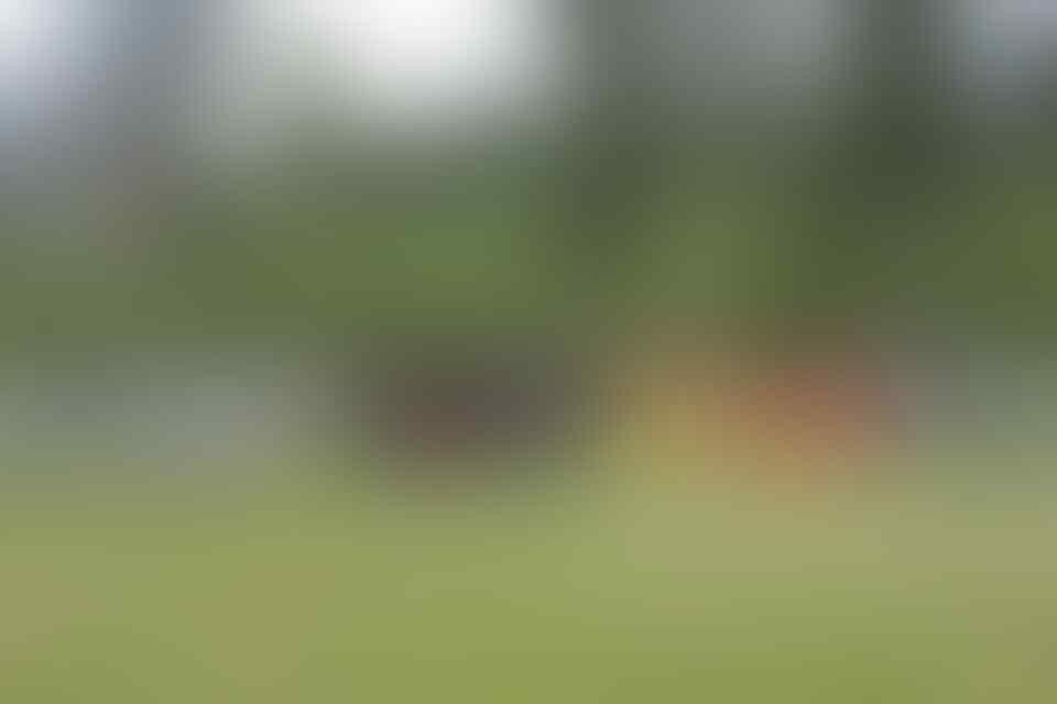 kaskus-image