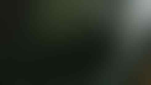 Blackberry Monza 9860 Sangat Istimewa, Garansi Resmi CTN, 99% Like New (Bandung)