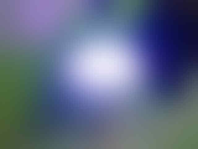 dumbuk spesial led mika