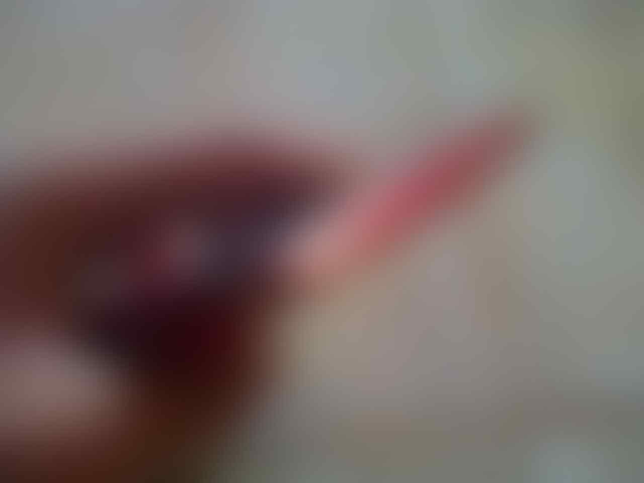 TORCH 1 Red, Yooii mantafff