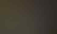 JUAL GOLD DRAGON NEST ALTHEA