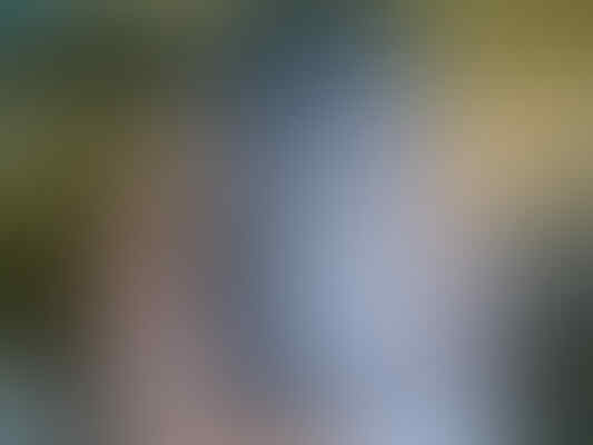 Samsung Galaxy Nexus II I9250 LCD Lebar harga 2 jutaan