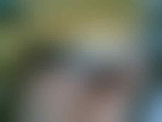 Samsung Galaxy Nexus II I9250 LCD Lebar harga 2 jutaan