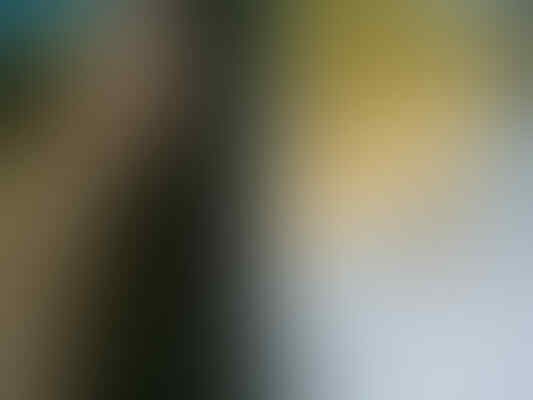 Samsung Galaxy Nexus II I9250 LCD Lebar harga 2 jutaan