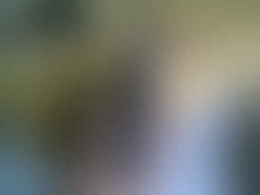 Samsung Galaxy Nexus II I9250 LCD Lebar harga 2 jutaan
