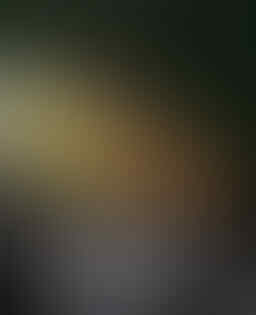 Seri game Need for Speed dari tahun ke tahun (Penggemar NFS masuk)