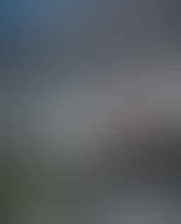 Seri game Need for Speed dari tahun ke tahun (Penggemar NFS masuk)