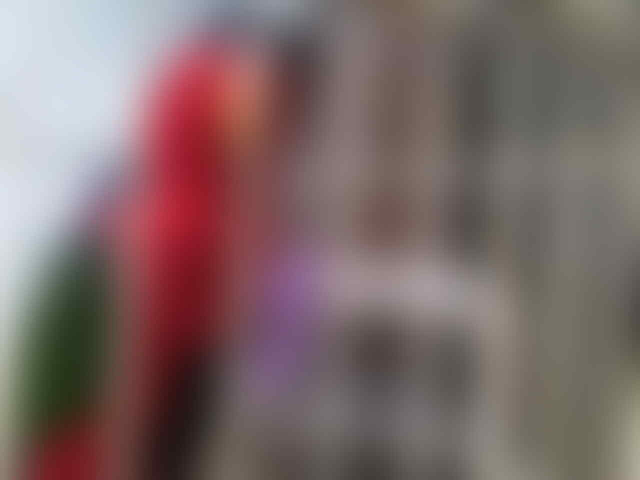 Terjual Jual Burung Nuri Maluku Kaskus