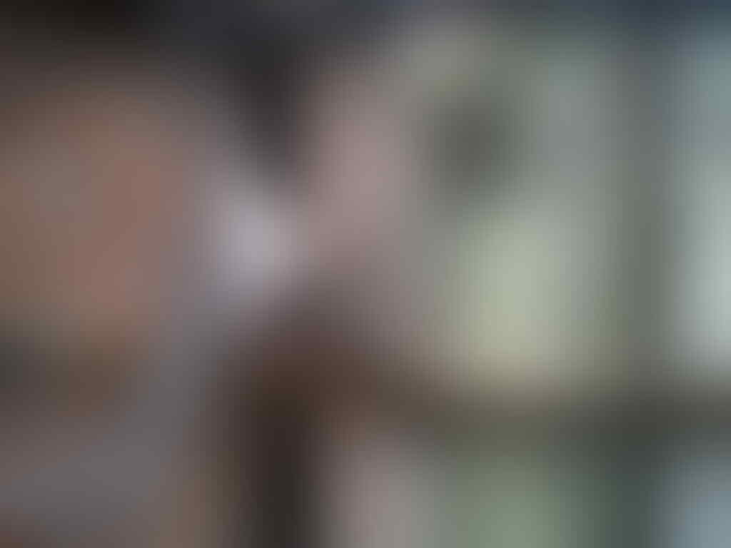 Terjual Jual Perkutut Puti Udan Mas 1 Jta Psg Kaskus