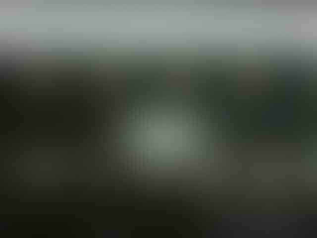 BLACKBERRY 9650 NEW READY... SOLO-SRAGEN