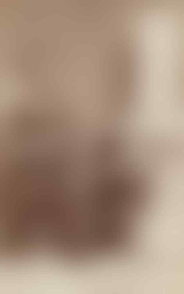 Gaya NARSIS Asli infanteri dari Tentara Hindia Belanda di Batavia