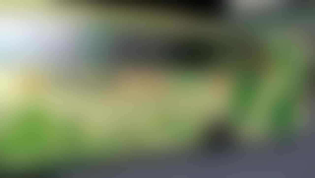 kaskus-image