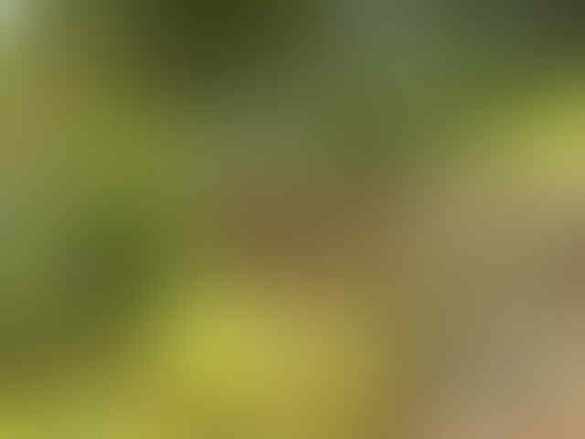 ISENG-ISENG KITA ABADIKAN IMAGE FASILITAS UMUM JAKARTA YUK!!!