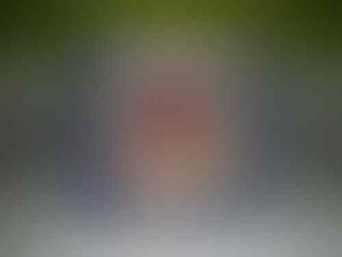 Cuci gudang aneka rubik dan finger board -- by bro-rubik