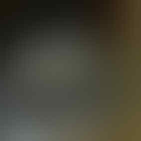 Jual/Beli/Barter HOTTOYS,ENTERBAY lainnya