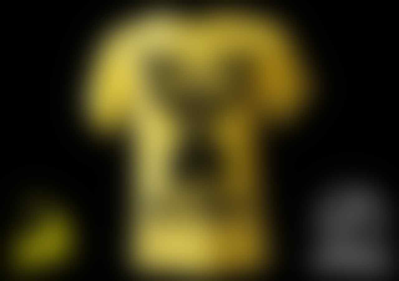 KAOS UNTUK FITNESS danGYM