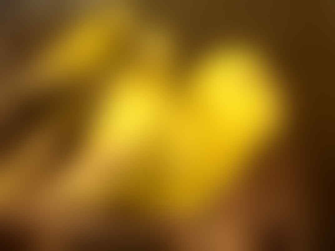 Terjual Jual Obral Burung Parkit Murah Kaskus
