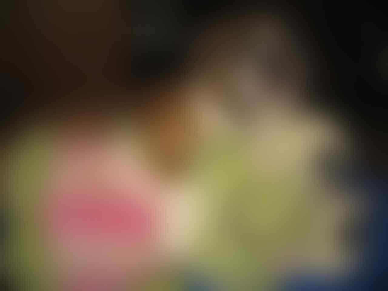 Terjual Kandang Anjing Bekas Ukuran Besar Merek Bargain Hound