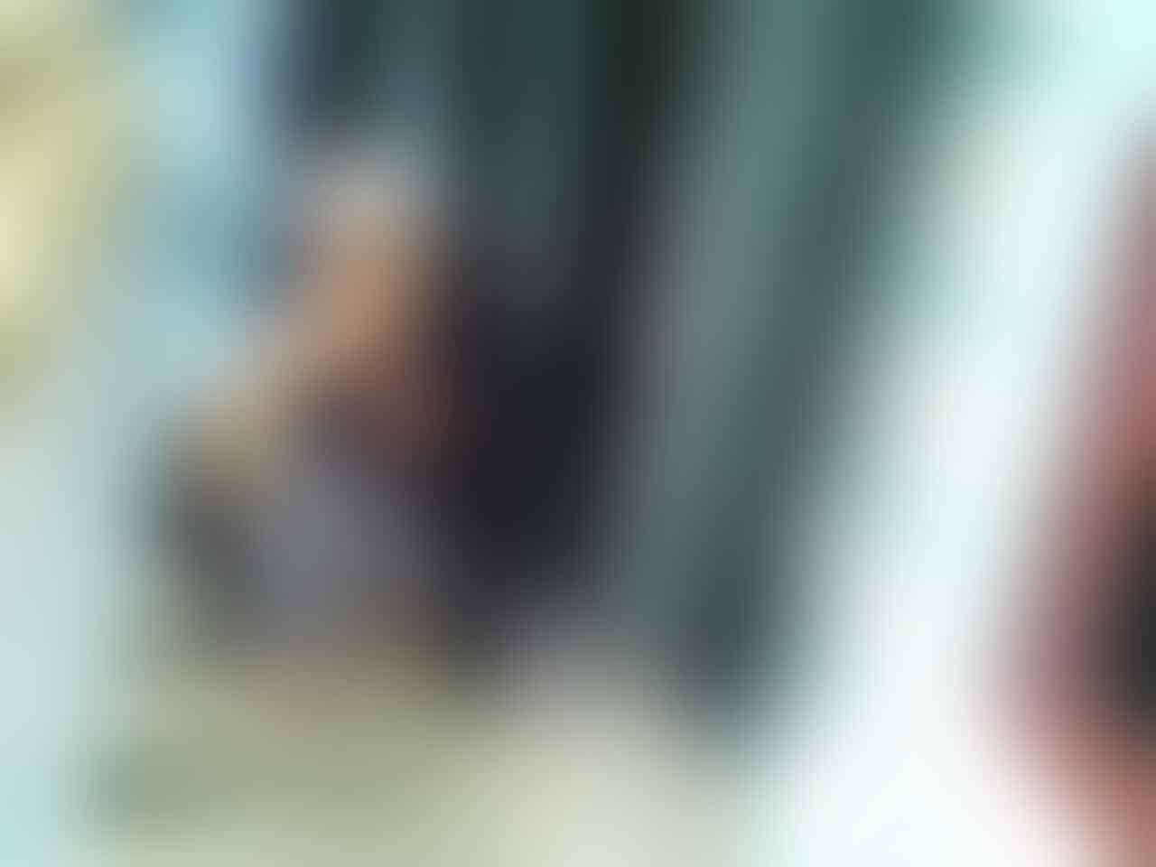 Terjual Jual Jaring Perangkap Burung Kaskus