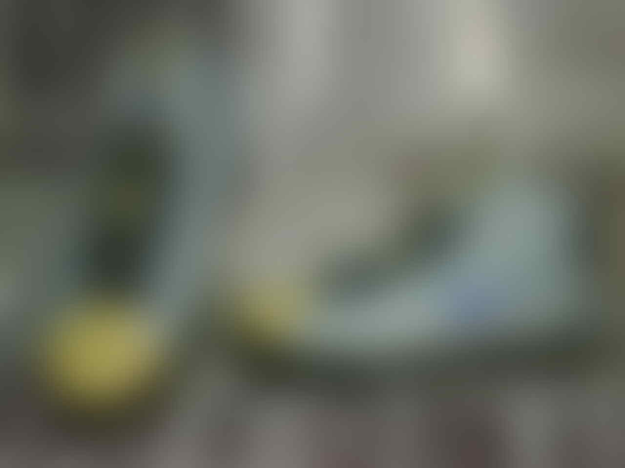 CUCI GUDANG!!!! LELANG SEPATU ADIDAS, NIKE,VANS, CATTERPILLAR DLL MURAAAHHHH!!!!