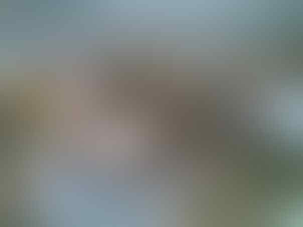 Foto BAYI Yang dibuang Ibunya | KASKUS