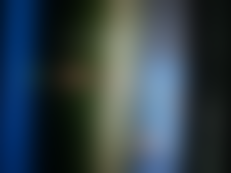 The Sims 2 + Full Expansion + Patch