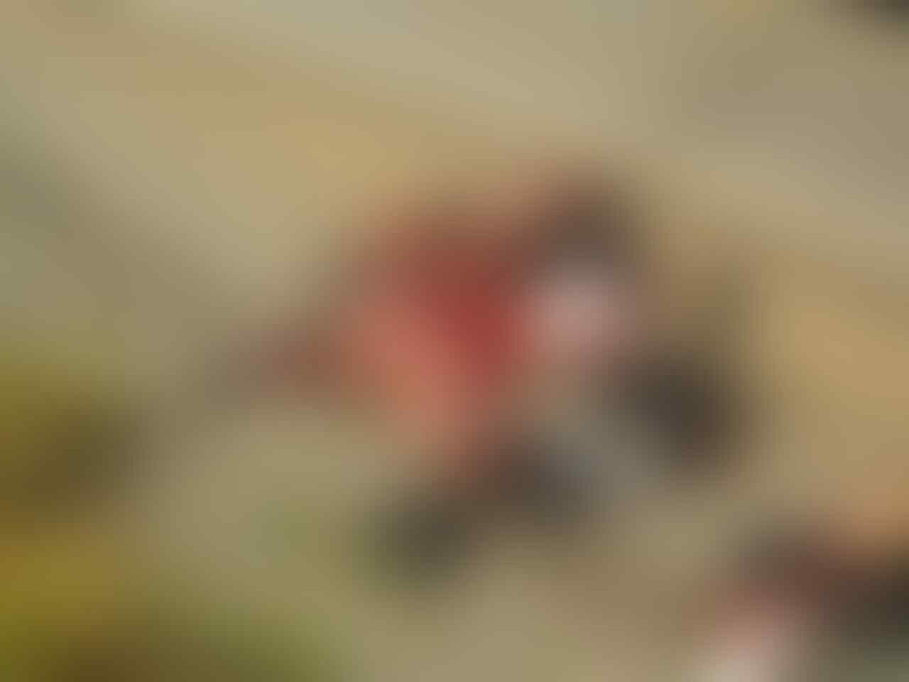 === Compilation of goroked, mucratot, mokaded full update ===