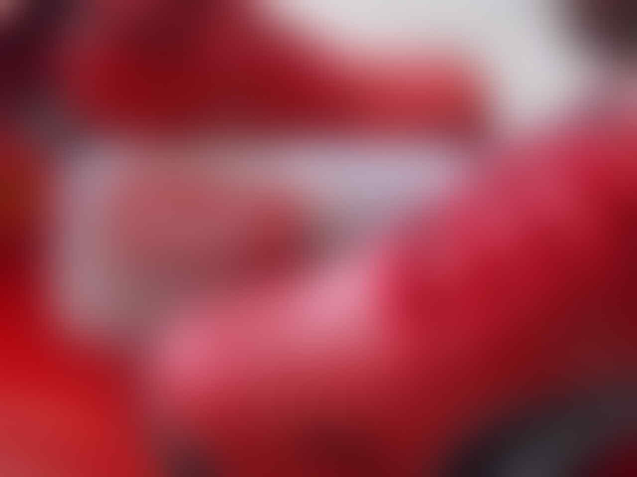 puma red ferari