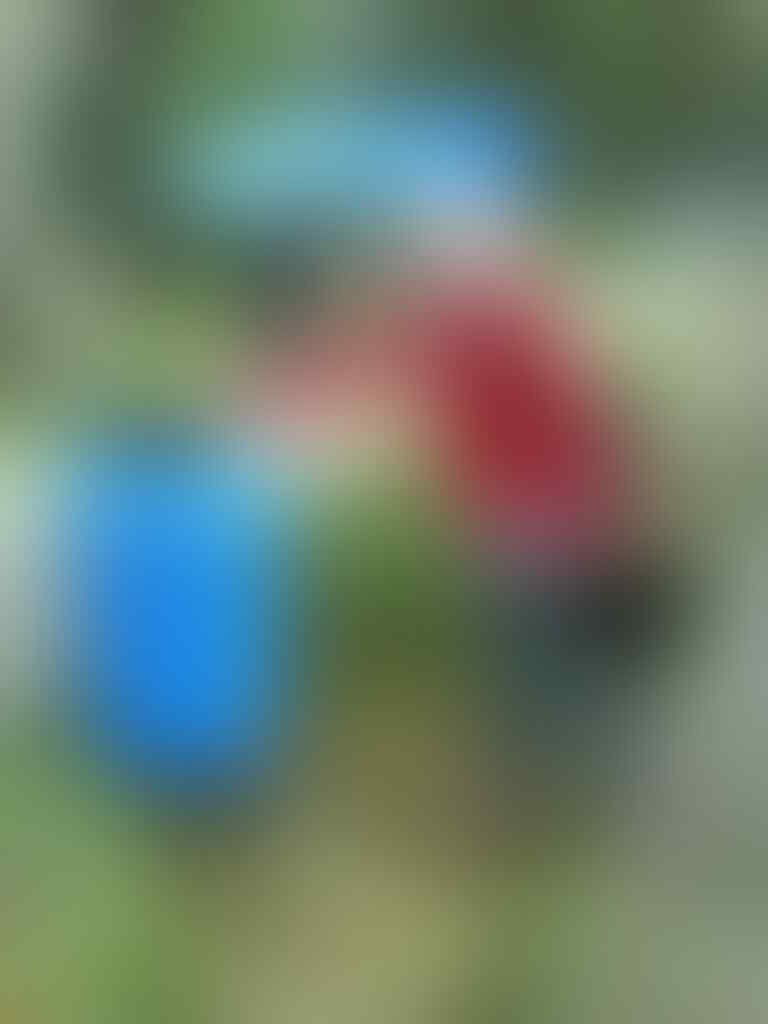 Alasan Kenapa Kita Harus Membuang Sampah Pada Tempatnya Page 2